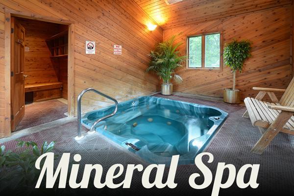 Turf And Spa Motel Саратога-Спрингс Экстерьер фото